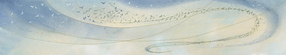Seaweed and Death hats….